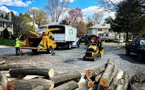 Best Firewood Processing and Delivery  in Merrillville, IN